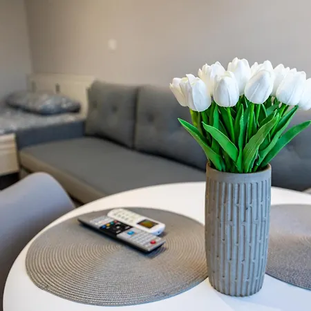 Apartment - Kobalt Brama Portowa Ii